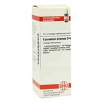 Equisetum Arvense D 4 Dilution (20 ml) из Германии