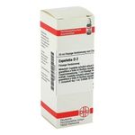 Espeletia D 2 Dilution (20 ml) из Германии