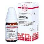 Eupatorium Perfoliatum D 4 Globuli (10 g) из Германии