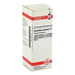 Equisetum Arvense D 1 Dilution (20 ml) из Германии