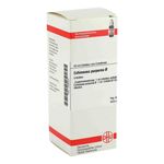 Echinacea Purpurea Urtinktur (50 ml) из Германии