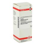 Ferrum Phosphoricum D 8 Dilution (50 ml) из Германии
