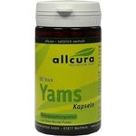 YAMS Kapseln 250 mg Yamspulver, 60 ST из Германии
