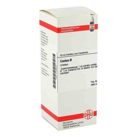 Cactus Urtinktur (50 ml) – PZN 2125533 из Германии