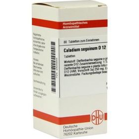 Caladium Seguinum D 12 Tabletten (80 stk) – PZN 2626956 из Германии