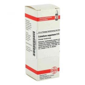 Caladium Seguinum D 6 Dilution (20 ml) – PZN 2894912 из Германии