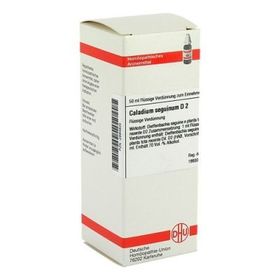 Caladium Seguinum D 2 Dilution (50 ml) – PZN 2894935 из Германии