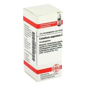 Caladium Seguinum D 4 Globuli (10 g) – PZN 4209642 из Германии