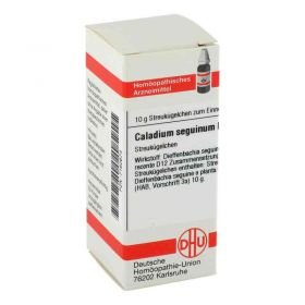 Caladium Seguinum D 12 Globuli (10 g) – PZN 7162674 из Германии