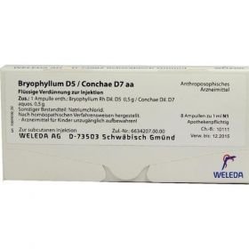 BRYOPHYLLUM D 5 CON D 7, 8X1 ML – PZN 1619859 из Германии