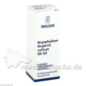 BRYOPHYLLUM ARG CUL RH D 3, 20 ML – PZN 1629711 из Германии