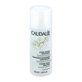 Caudalie Gesichtstonic (100 ml) – PZN 6952285 из Германии