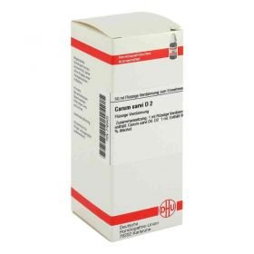 Carum Carvi D 2 Dilution (50 ml) – PZN 7163403 из Германии