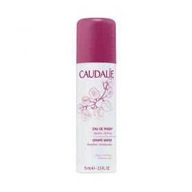 Caudalie Eau de raisin Spray (75 ml) – PZN 9886301 из Германии