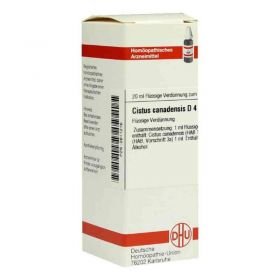 Cistus Canadensis D 4 Dilution (20 ml) – PZN 2611216 из Германии