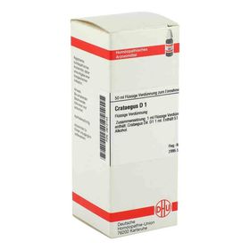 Crataegus D 1 Dilution (50 ml) – PZN 2612144 из Германии