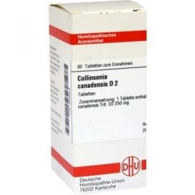 Collinsonia Canadensis D 2 Tabletten (80 stk) – PZN 2628843 из Германии