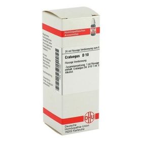 Crataegus D 10 Dilution (20 ml) – PZN 4213997 из Германии