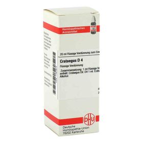 Crataegus D 4 Dilution (20 ml) – PZN 1767873 из Германии
