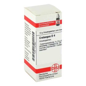 Crataegus D 4 Globuli (10 g) – PZN 1767962 из Германии