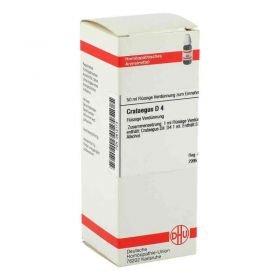 Crataegus D 4 Dilution (50 ml) – PZN 2612173 из Германии