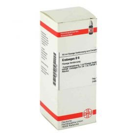 Crataegus D 6 Dilution (50 ml) – PZN 2802169 из Германии