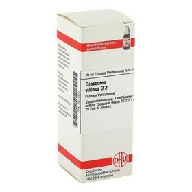 Dioscorea Villosa D 2 Dilution (20 ml) – PZN 2612902 из Германии