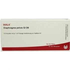 DIAPHRAGMA PELVIS GL D 6, 10X1 ML – PZN 2917010 из Германии