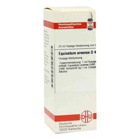 Equisetum Arvense D 4 Dilution (20 ml) – PZN 2114133 из Германии
