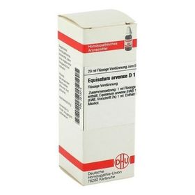 Equisetum Arvense D 1 Dilution (20 ml) – PZN 2613215 из Германии