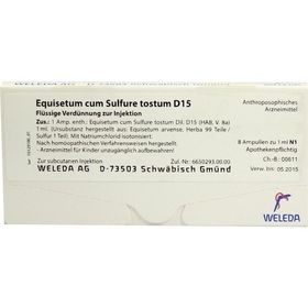 EQUISETUM C SULF TOST D15, 8X1 ML – PZN 1621968 из Германии