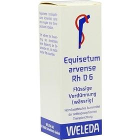 EQUISETUM ARV RH D 6, 20 ML – PZN 1630140 из Германии