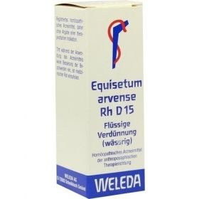 EQUISETUM ARV RH D15, 20 ML – PZN 1630157 из Германии