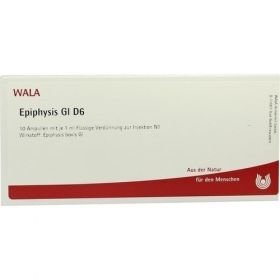 EPIPHYSIS GL D 6, 10X1 ML – PZN 2831811 из Германии