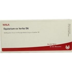 EQUISETUM EX HERBA D 6, 10X1 ML – PZN 2921365 из Германии