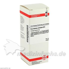 EQUISETUM ARV D 6, 50 ML – PZN 4216145 из Германии