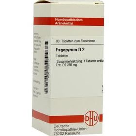 Fagopyrum D 2 Tabletten (80 stk) – PZN 2630171 из Германии