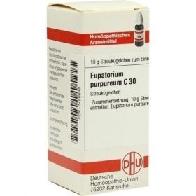EUPATORIUM PURPUR C30, 10 G – PZN 7456648 из Германии