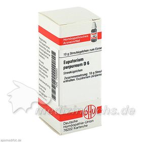 EUPATORIUM PURPUR D 6, 10 G – PZN 7456654 из Германии