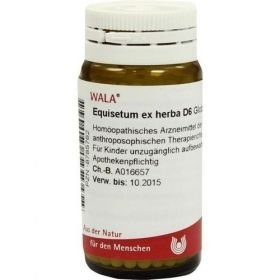 EQUISETUM EX HERBA D 6, 20 G – PZN 8785762 из Германии