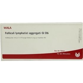FOLLICULI LYMPH AGG GL D 6, 10X1 ML – PZN 2876400 из Германии