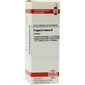 FRAGARIA VESCA URT, 20 ML – PZN 7168263 из Германии