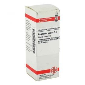 Galphimia Glauca D 4 Dilution (20 ml) – PZN 2114653 из Германии