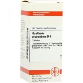 Gaultheria Procumbens D 4 Tabletten (80 stk) – PZN 7168487 из Германии