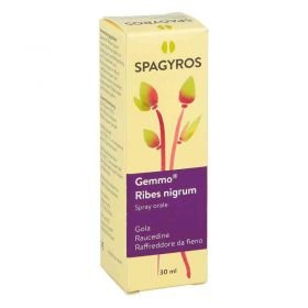 Gemmo Ribes nigrum Mundspray (30 ml) – PZN 12587737 из Германии
