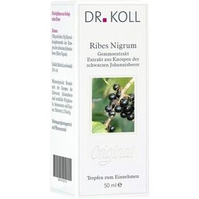 Gemmoextrakt Schwarze Johannisbeere, 50 ML – PZN 9762510 из Германии