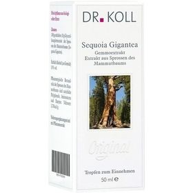 Gemmoextrakt Mammutbaum, 50 ML – PZN 9762616 из Германии