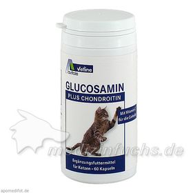 Glucosamin+Chondroitin Kapseln für Katzen, 60 ST – PZN 12362866 из Германии