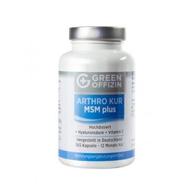 Green Offizin - Arthro Kur MSM Plus, 365 ST – PZN 13927655 из Германии
