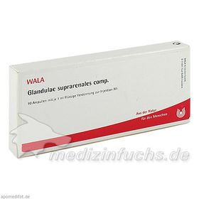 GLANDULAE SUPRARENALI COMP, 10X1 ML – PZN 1751501 из Германии